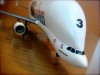 Beluga