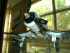 F4U-1A/D