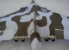 Vulcan