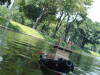 Netuno